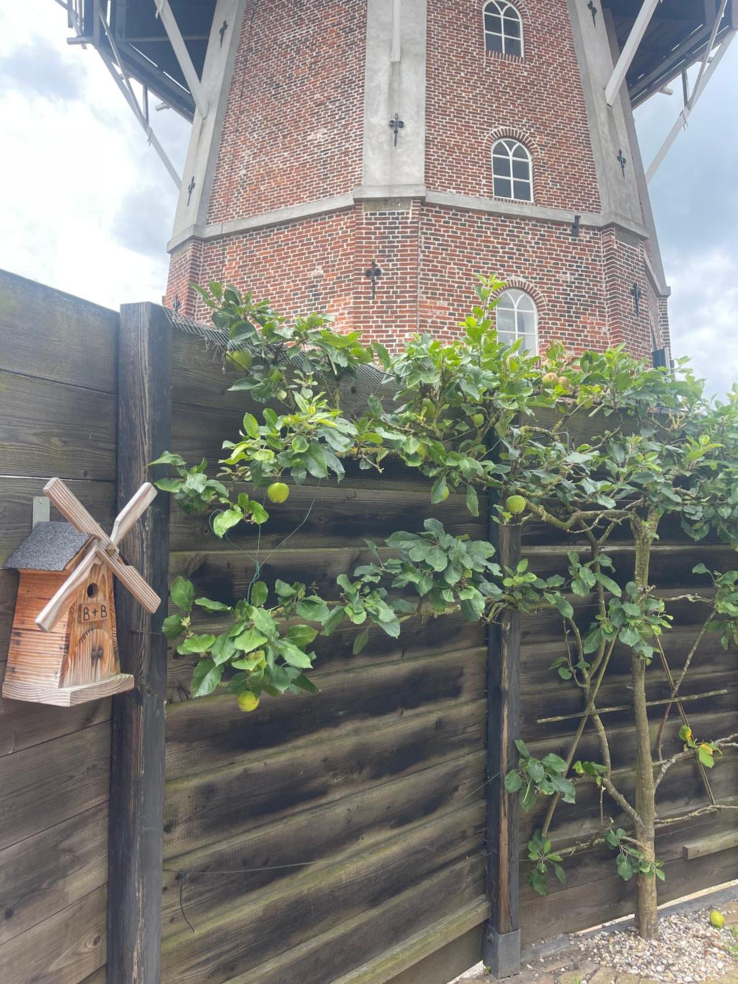 B&B Het Molenhuisje Winschoten - Met Woonkamer & Keuken Luaran gambar